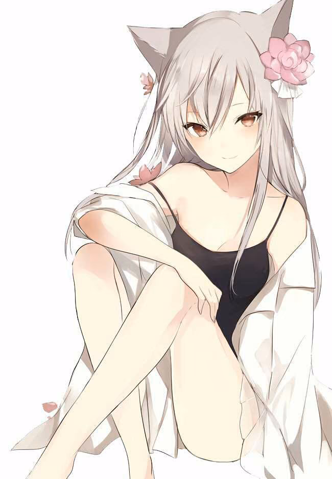 c315a03cc67d6edebf15c9a85cc4b750.jpg