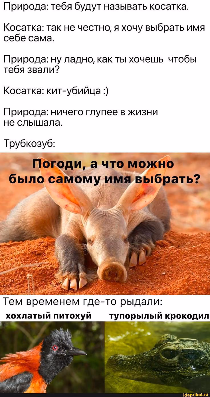 c31f6d13c828789cf4f2d3c44b47d3e0.avif