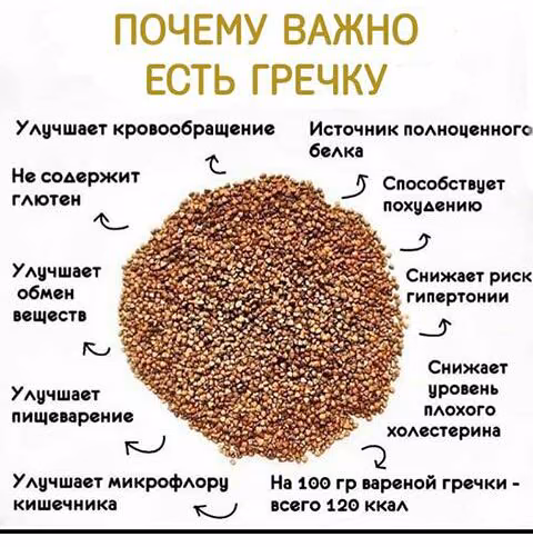 c322369306236839ed95e6cf53dfd2c8.jpg