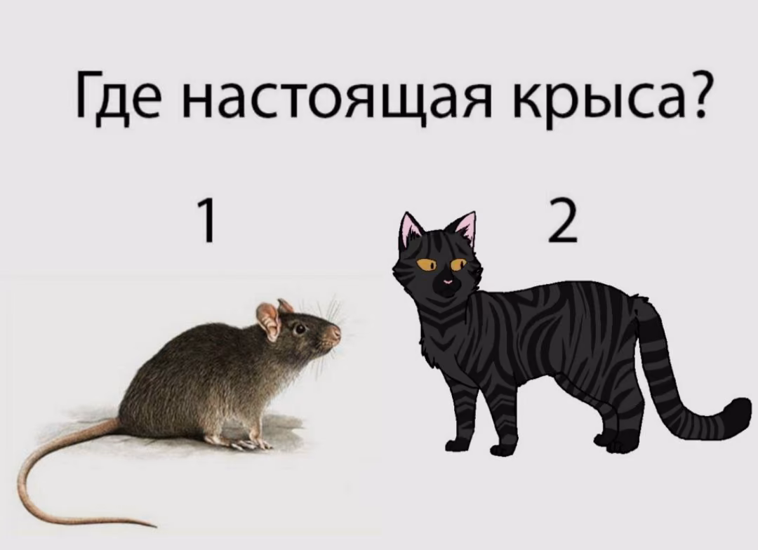 c3329c6f0691945247a5d8b739f3eeee.avif