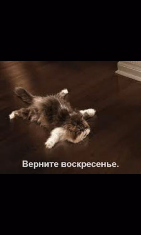 c33c8331590d89dfc3509c4873b32e15.avif