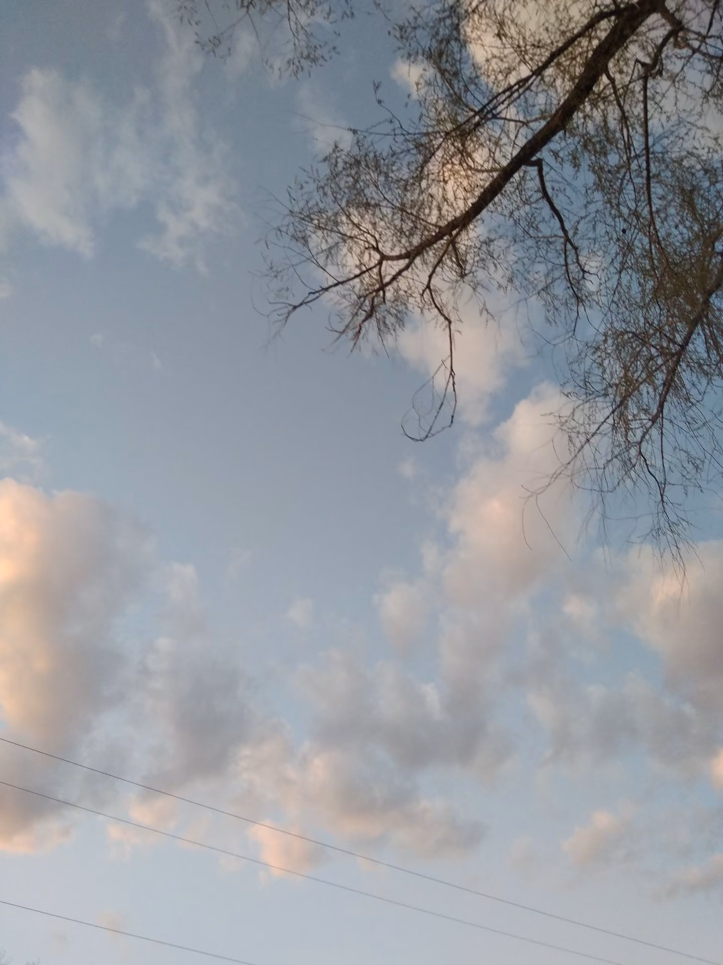 c345acdb2f57ae609bbea8b025014d73.jpg