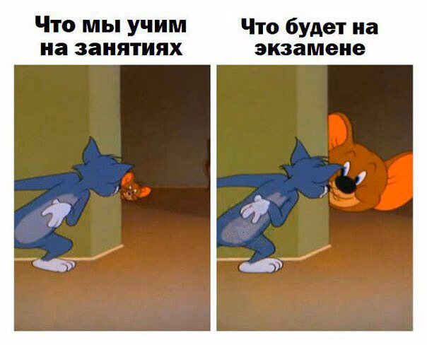 c34c5758db7a9d3913883d5938f110e0.avif