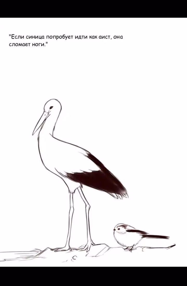 c355c7b9842c6cc57580dab27ffbbe88.jpg