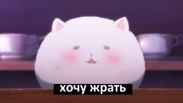 c35f3f2c3bf12fea07e05203d73a00a4.avif