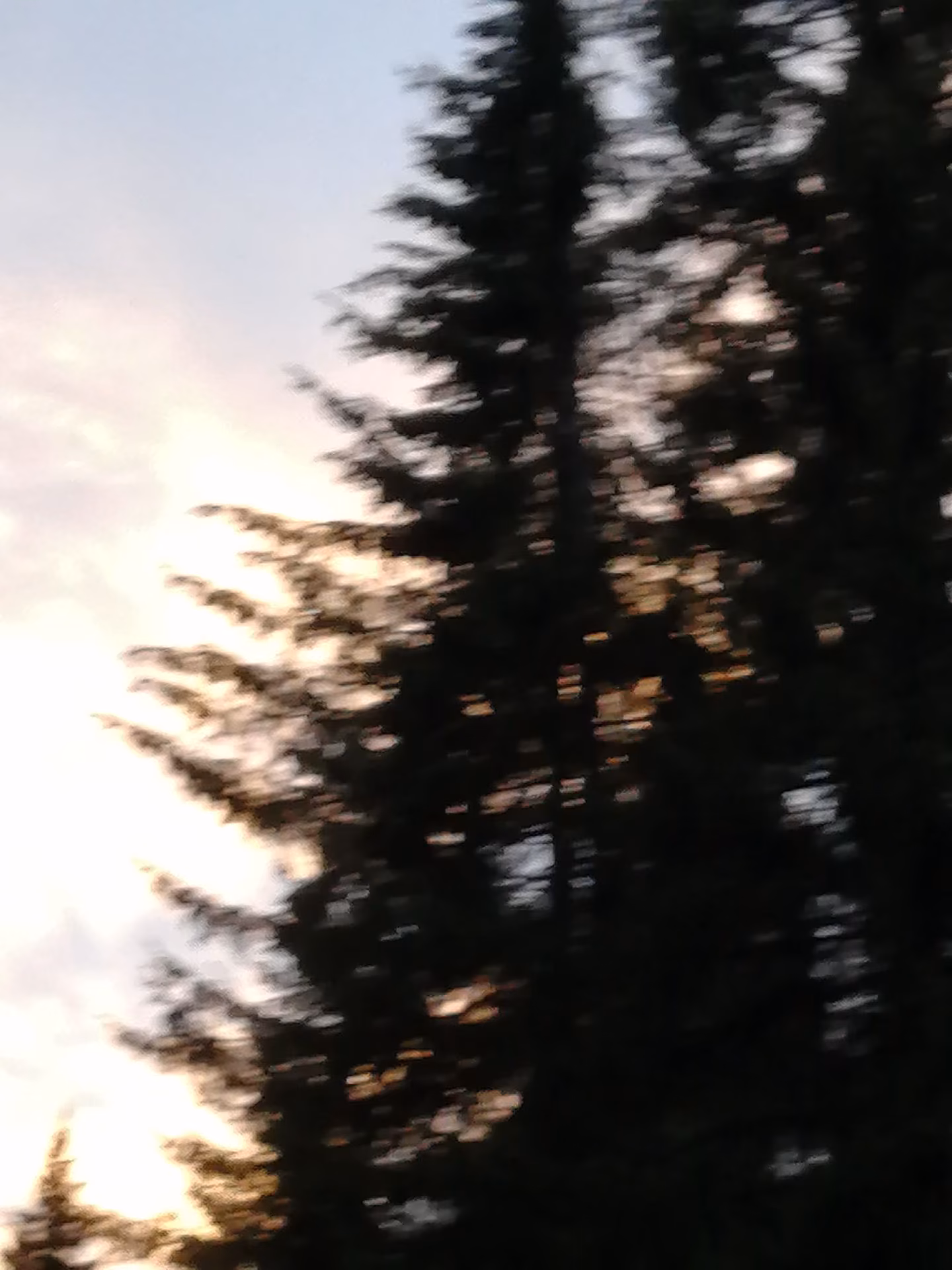 c36401a1b266e37d8856a7cbcca5262a.jpg