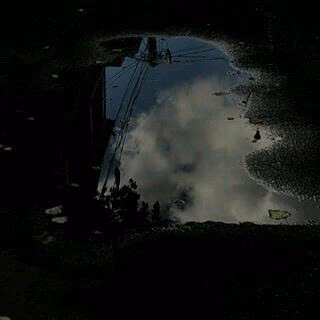 c3877cce49254966c63c049197293549.jpg