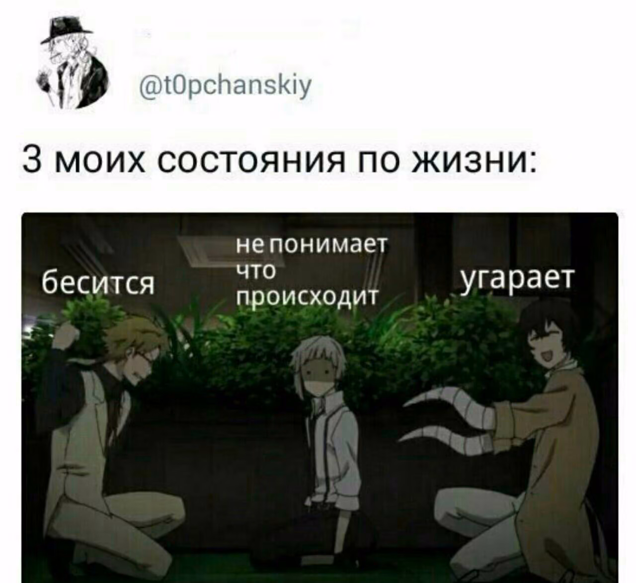 c394cede1d25a78bd4e76595de8ecdd0.jpg