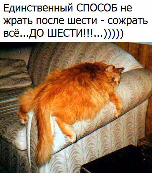 c39b83b7e2d10e6be4bc588749a9b94b.avif