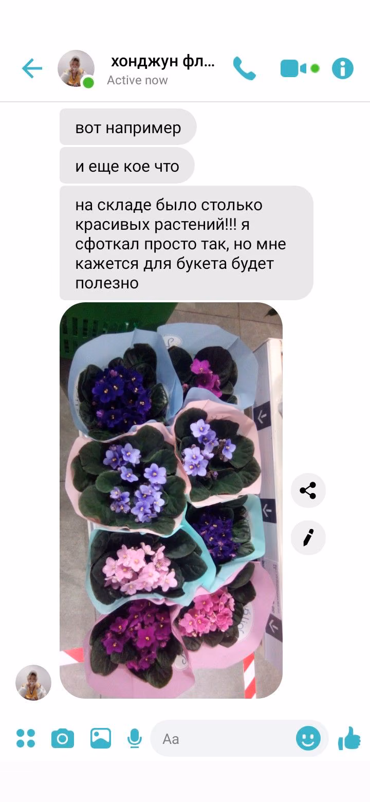 c3a7ac2f480bd7f60efd4d389e933dd5.jpg