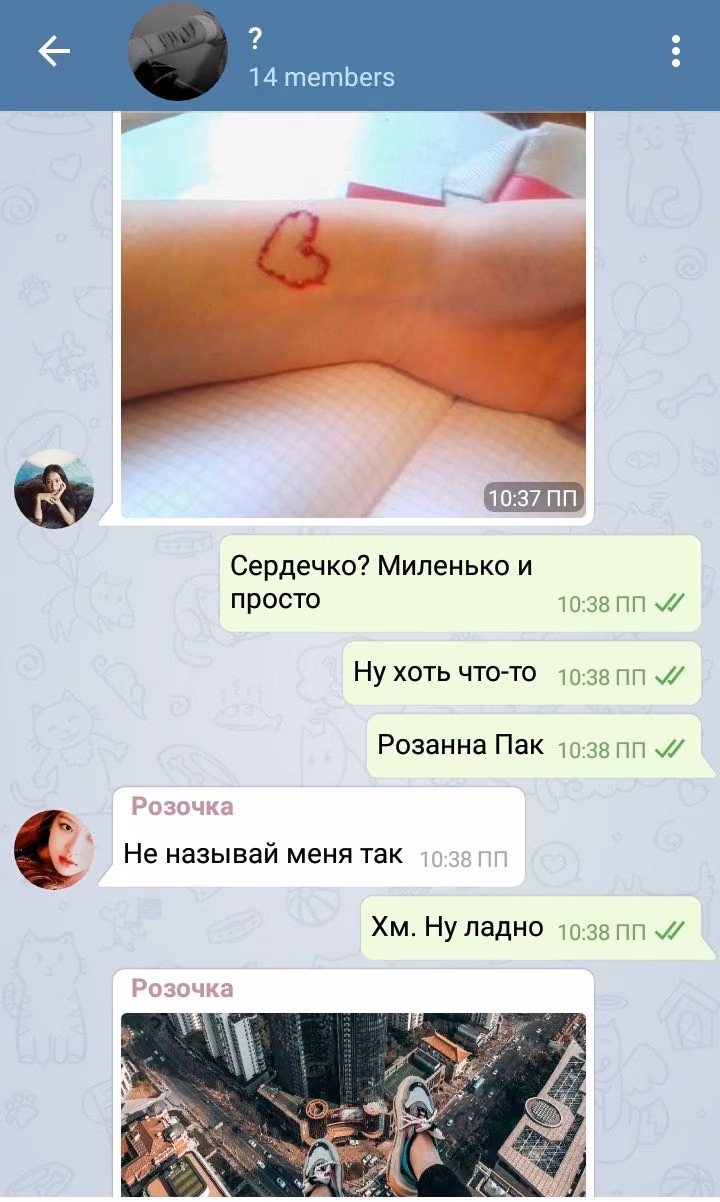 c3b4faa90a464a84c66a4b15528dccd2.jpg
