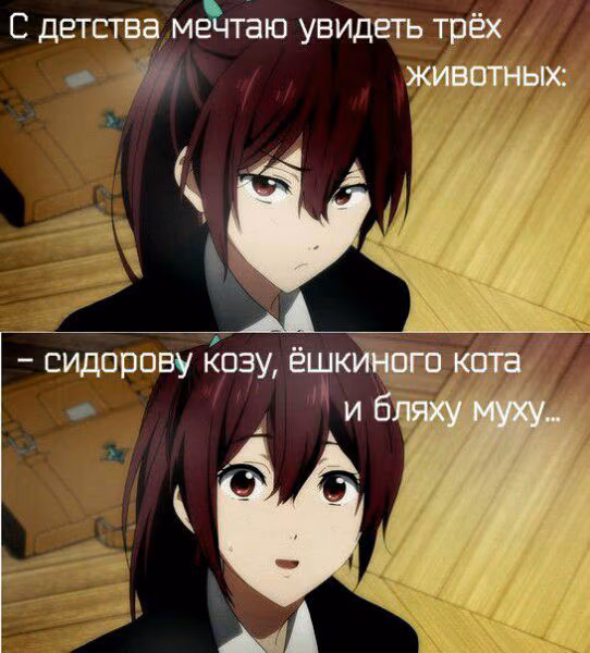 c3b7041330601baec895dc5f9fe59d7c.jpg