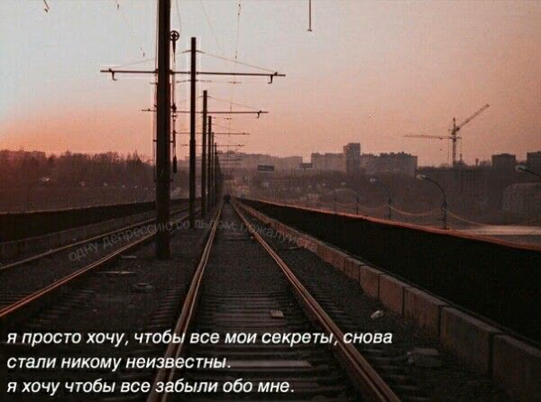 c3b7f8facc8b06764e26ab26f5981f04.jpg