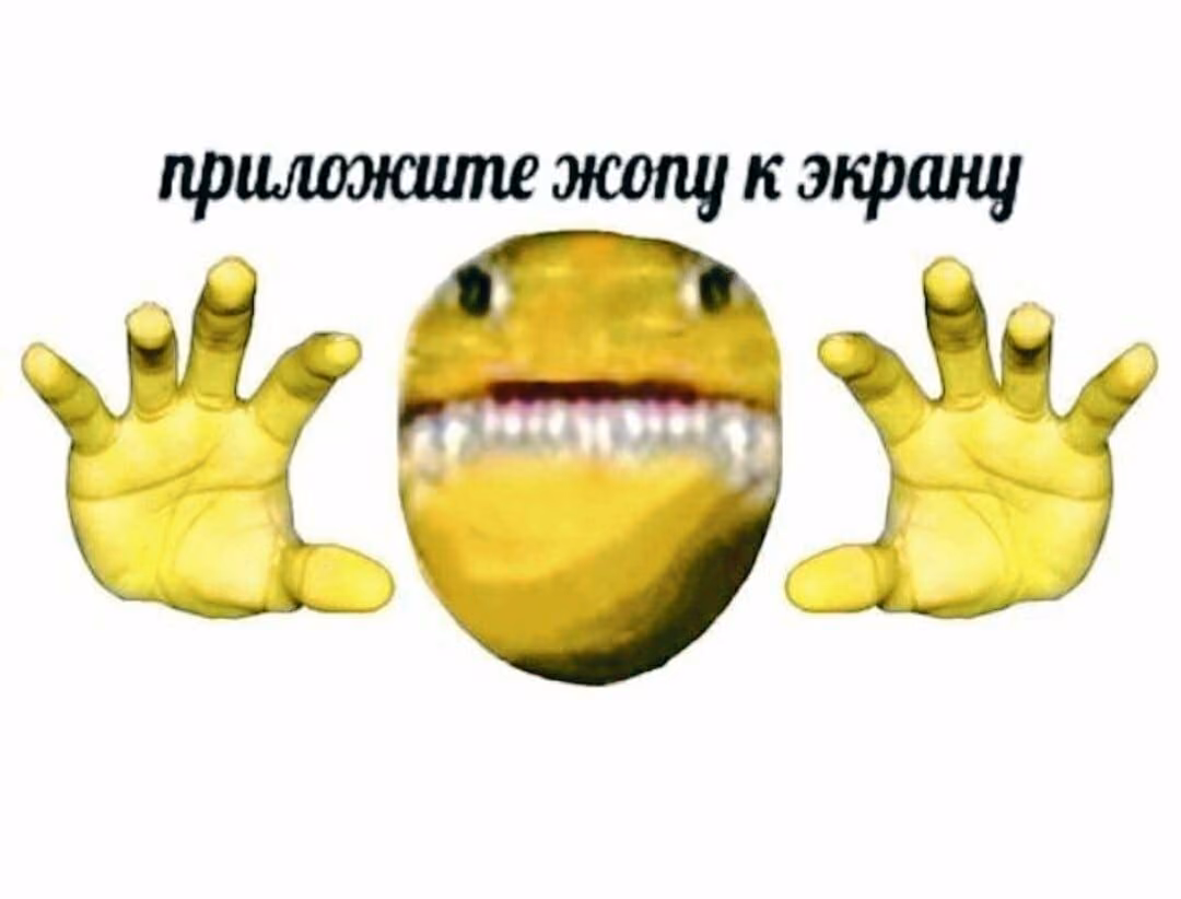 c3bae8da9a76c3a1ebfdfbdda1271a41.avif