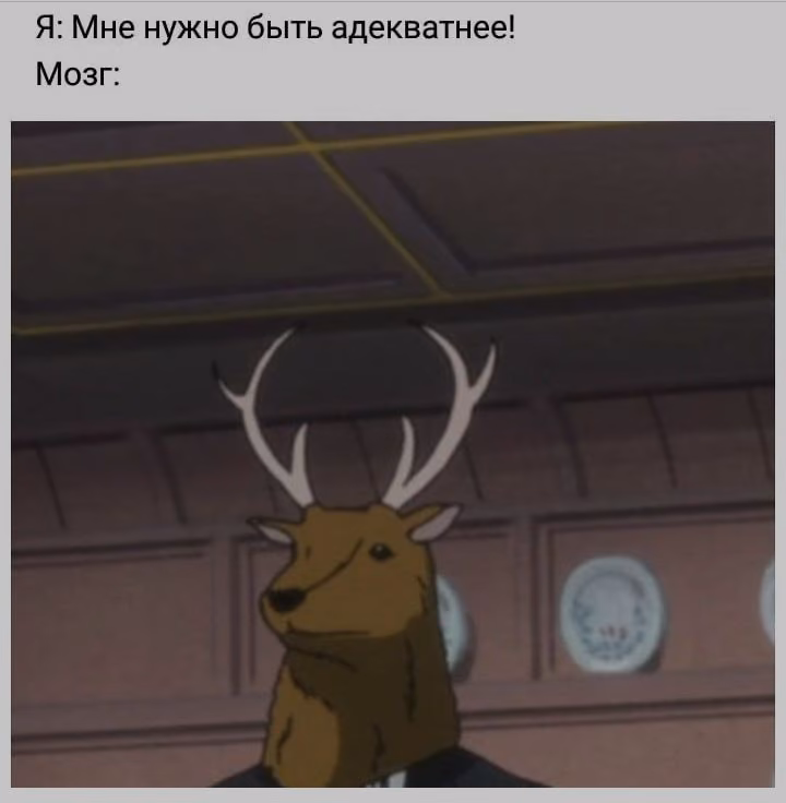 cf4eef37f72ecd0867313fe734fe9671.jpg