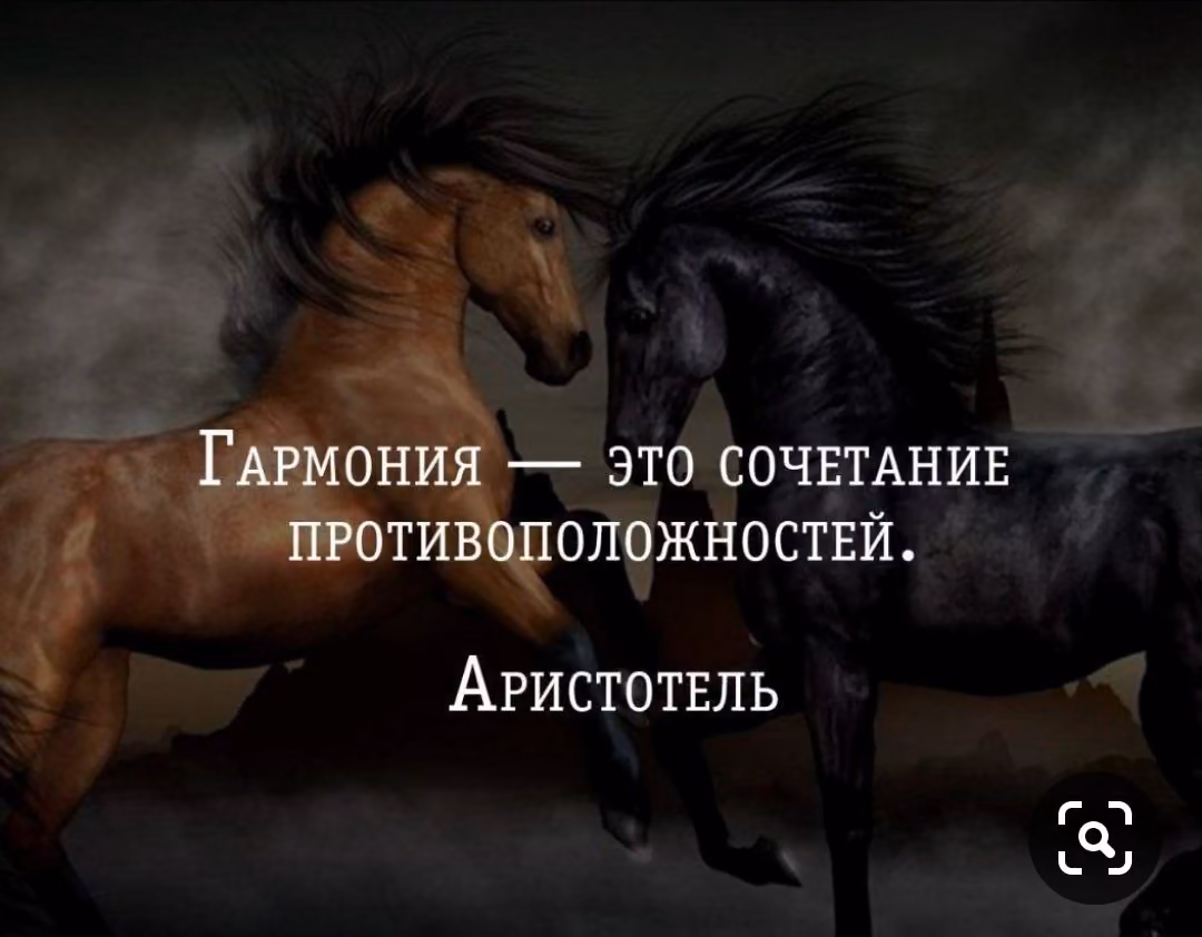 c3d09128ac0736c670beef81624f1e22.jpg