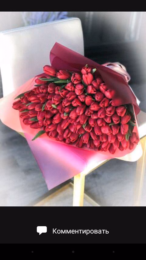 c3d5f7df288684fbd76f8e038891a1cd.avif
