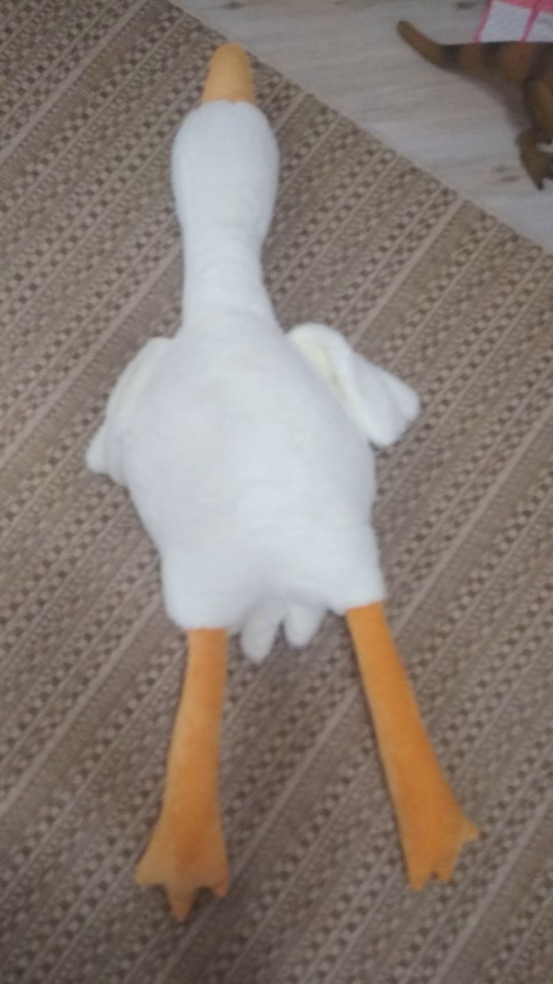 c3d97c5860c8664945e00f83d7b02705.jpg