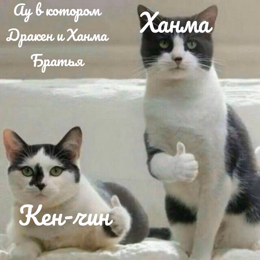c3e4d9957fdb5e093376a874a7273705.avif