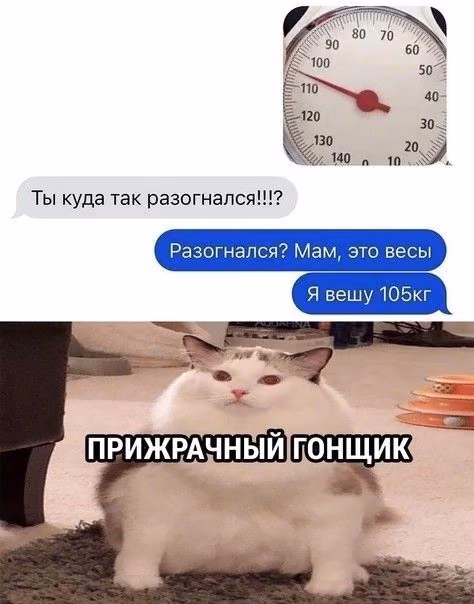 c3f17a8425e2639d3cf518aae667de1c.avif