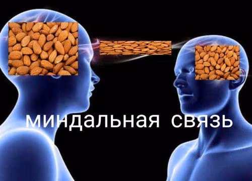 c415b1742d4a49149d9cd1b3a301ba82.jpg