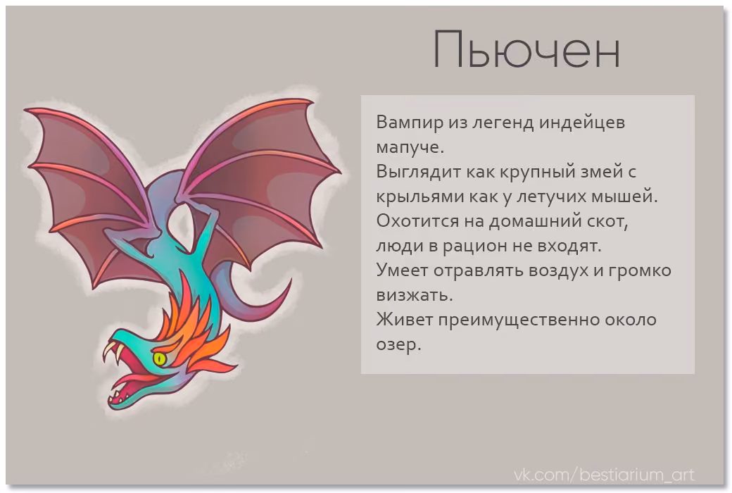c4221573a093a2d92ae56e30d8845b2e.avif