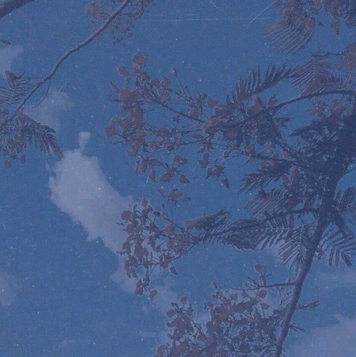 c430655fd7806bbf2bb1b0355363c294.avif