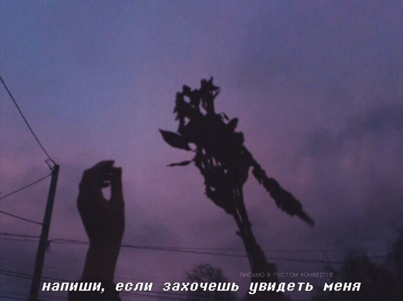c433903a81f475489c2bb4a9d45cec88.jpg