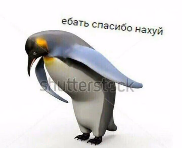 c435d66990bb4a9889a3953078528379.jpg