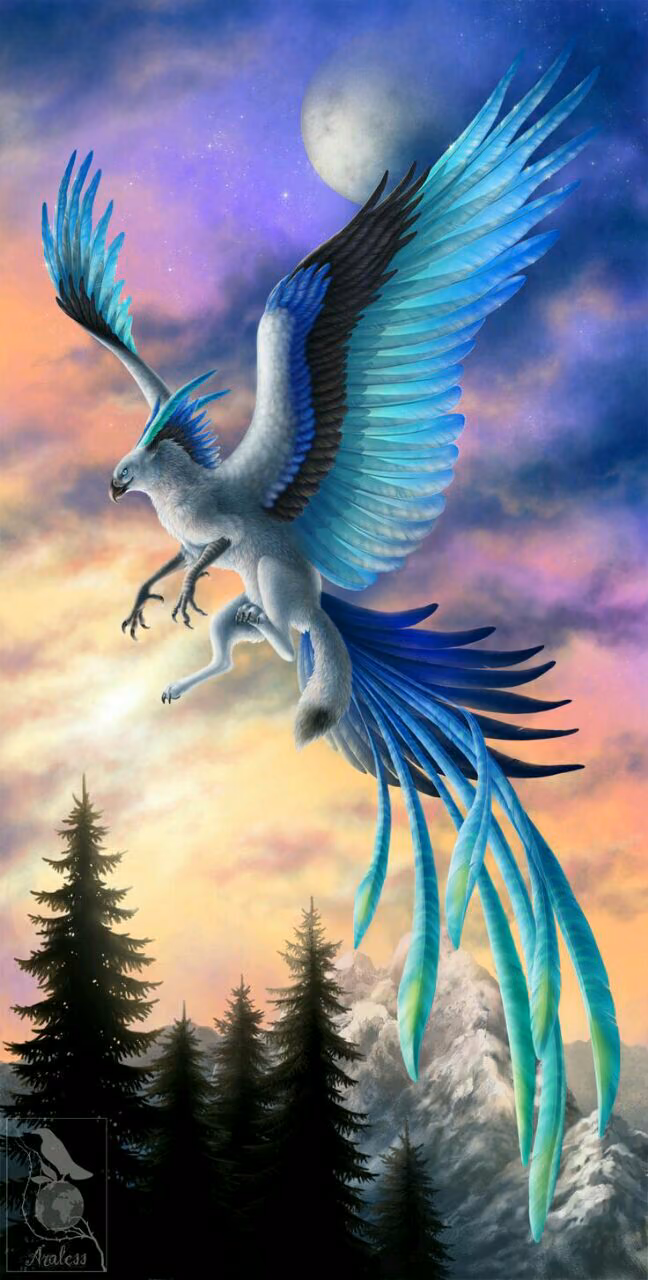 c437c1b4bdc7b487556de16a383440ee.avif