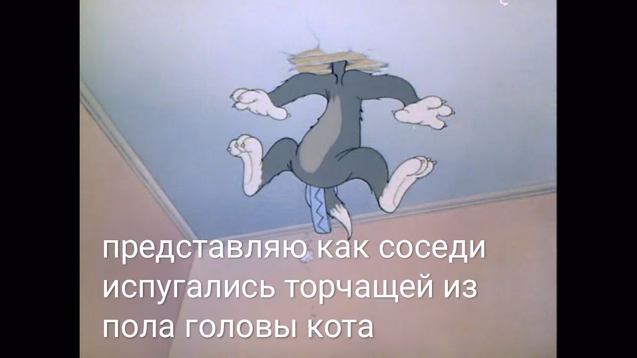 c43944eace474d6ee7d1672e9852d382.jpg