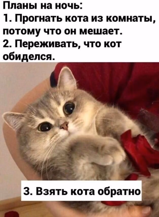 c44538b506d4e9641957babd912f2ed3.avif