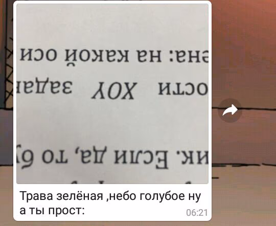 c446e998532a16dff24c8017ef0f29be.jpg