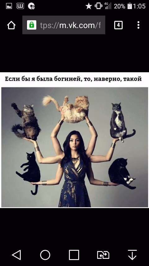 c44730dd4c6e2ec7ee88d2973a1c2145.jpg