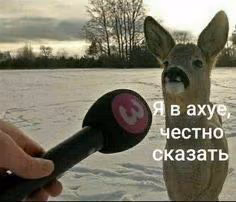 c44d17ff2a41526849a9d83b02916f7d.avif