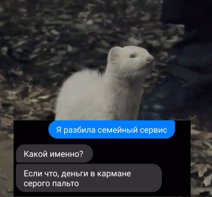 c44e89837ab4772d21d027dcecb3cd2b.avif