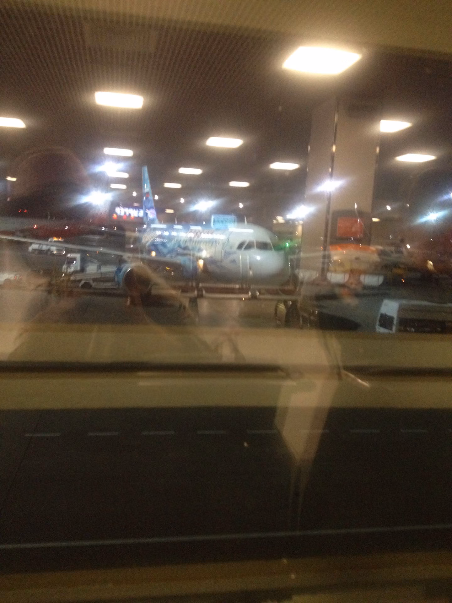 c451af74d8c1ea1f8498a4b8cc16b5e4.avif