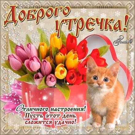 c45c73086549cc94a5f3de50650ef105.avif