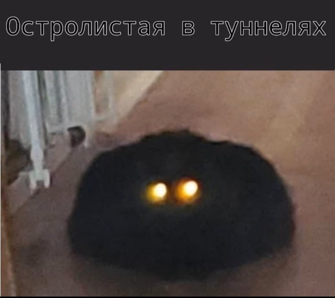 c46778da3c9e0fb76423a0ea448a0b1e.avif