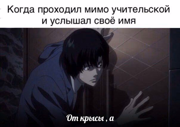 c48321b33c414f4b13b19b195b7818f9.avif
