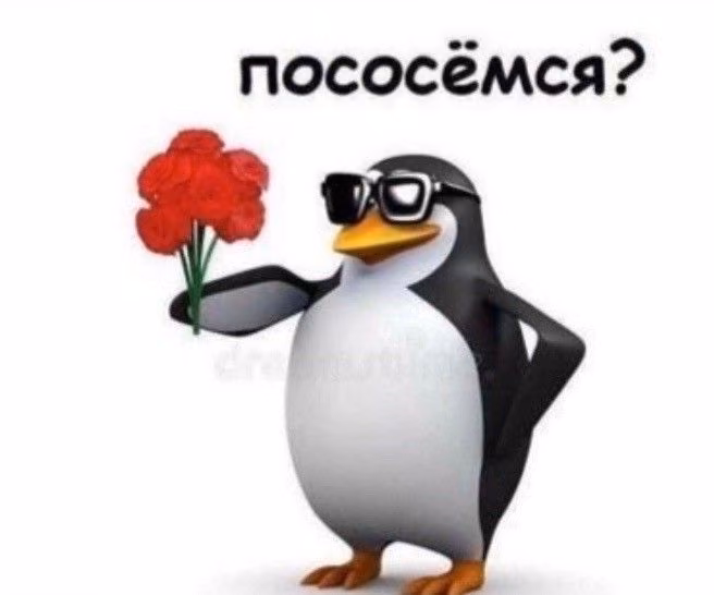 c48d76f6951dd41ccc360564ae420eef.avif