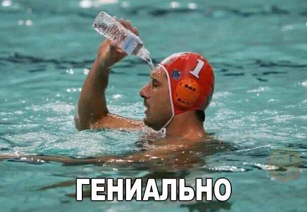 c49c8d0d3e039df8b803f424cc916e16.avif