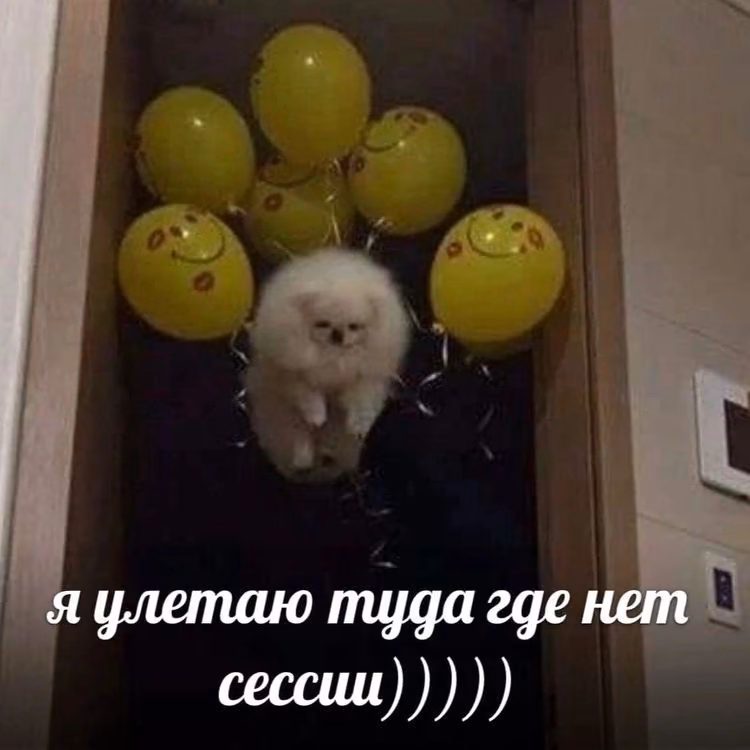 c4e632d14e7b321d45a6e201adfaba71.jpg