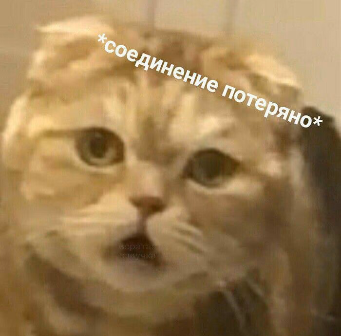 c4f1d40ed735006b66c7138f53e8f58a.avif