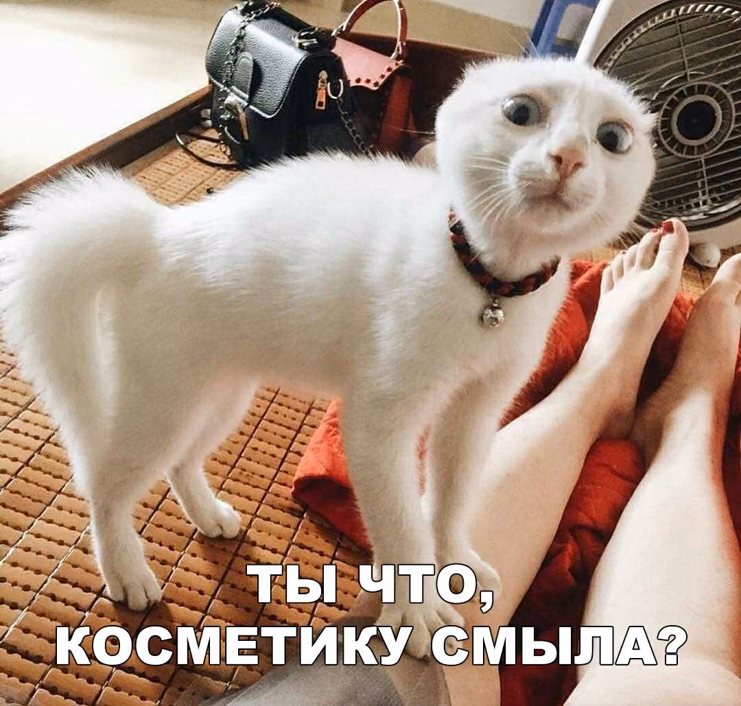 c4f599421a33eef6ce2b29b708cf0e32.avif