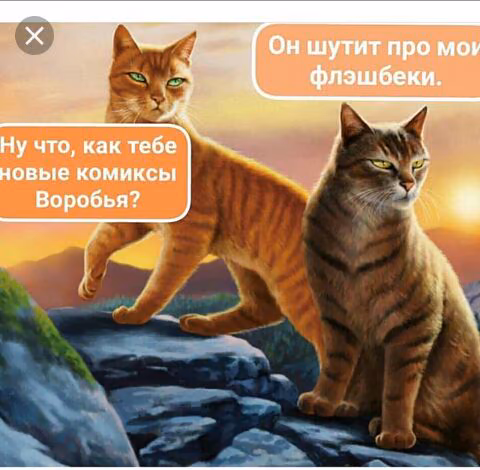 c4ff51d7ffd600fcf64bc2d3658ea61a.avif