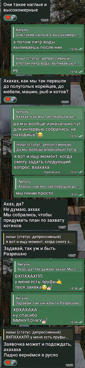 c5078ea17a7f0dbedb8637fc0361d6c8.jpg