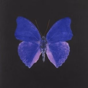 c508843b38ec5b7cc03a408bfa9e40d4.avif