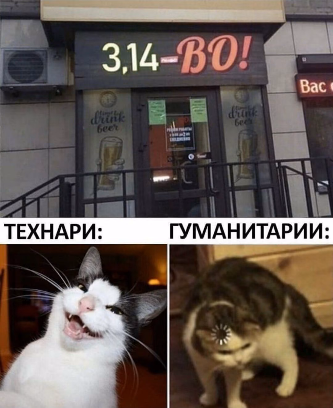 c51a577d4e8bca03571606617e5c1926.avif