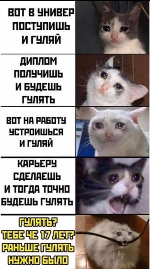 c5254240944314f14b99e5fb87a6bd2b.avif